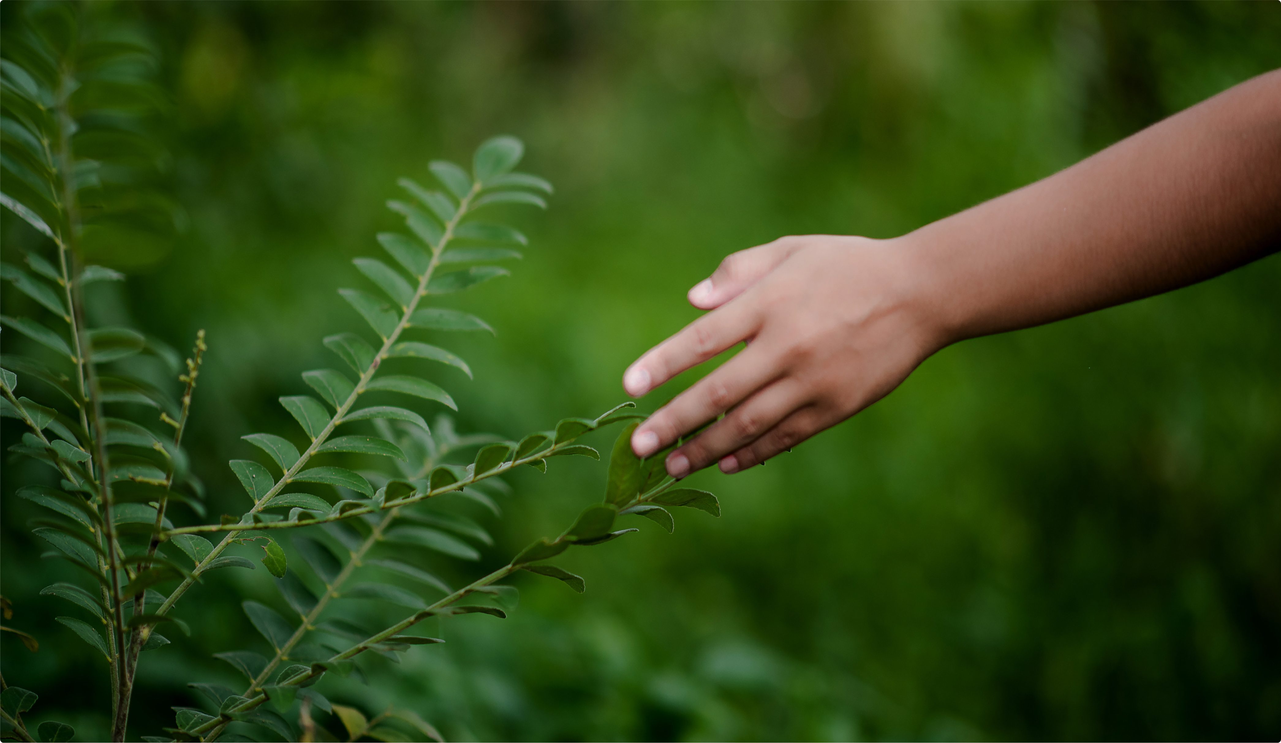 Nasce Leonardo Lifescience Group.